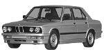 BMW E28 P06CC Fault Code